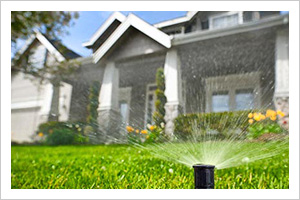 Lawn Sprinkler Installation